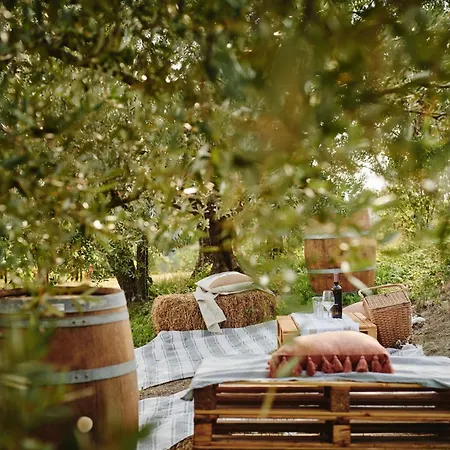 Liverzano 3* بريزيغيلا