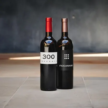 Feriested Liverzano 3*