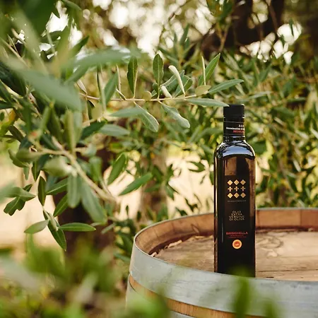 Liverzano Feriested Brisighella