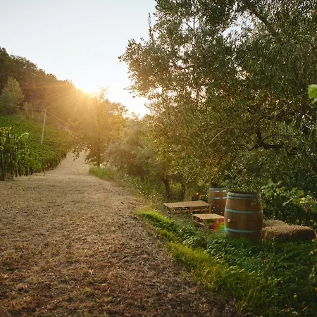 Liverzano אתר נופש