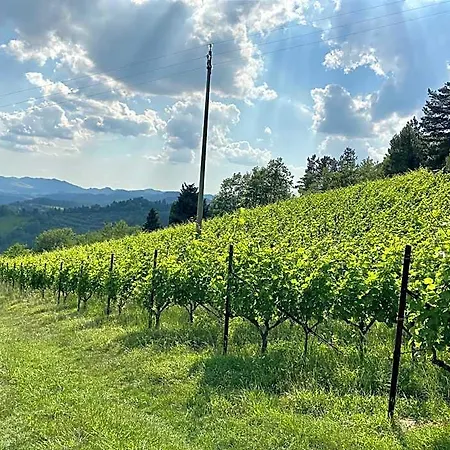 Liverzano Brisighella